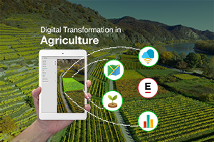 Digital Transformation in Agriculture